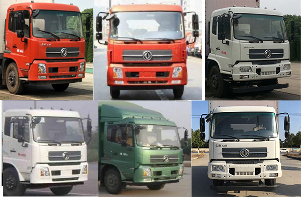 東風(fēng)天錦單橋雛禽運輸車