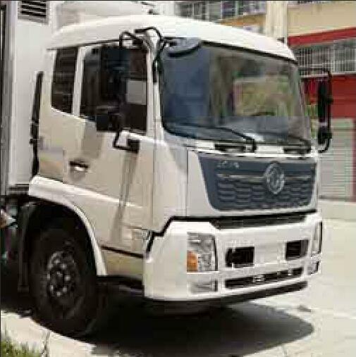 東風(fēng)天錦單橋雛禽運輸車
